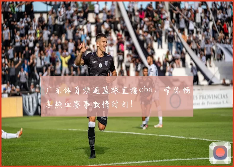 广东体育频道篮球直播cba，带你畅享热血赛事激情时刻！