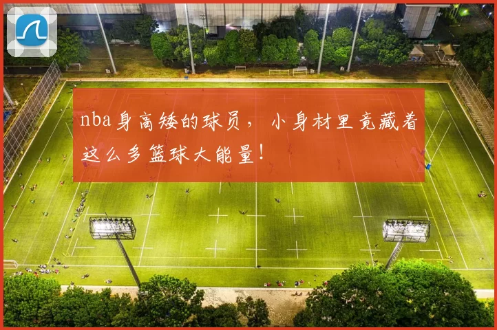 nba身高矮的球员，小身材里竟藏着这么多篮球大能量！