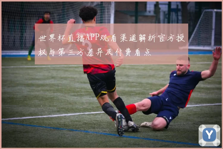 世界杯直播APP观看渠道解析官方授权与第三方差异及付费看点