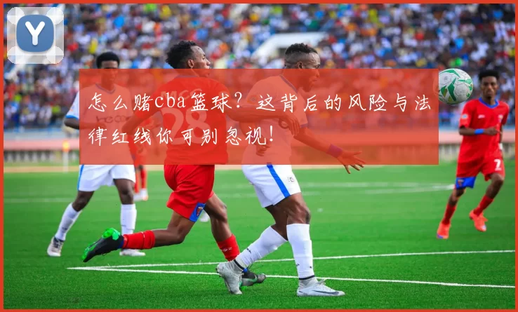 怎么赌cba篮球？这背后的风险与法律红线你可别忽视！