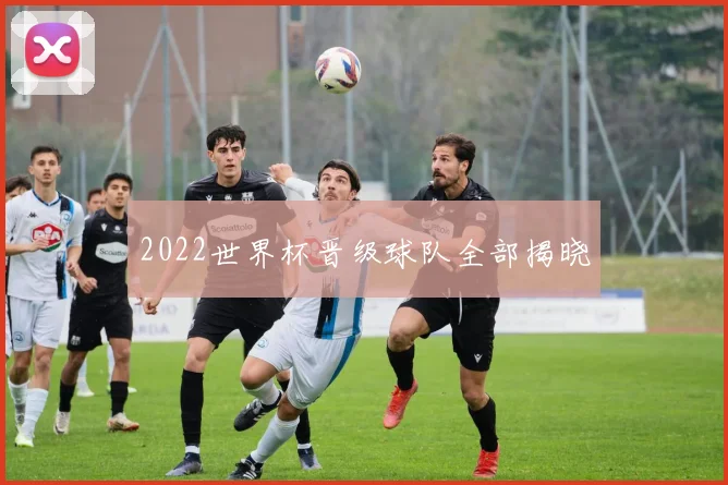 2022世界杯晋级球队全部揭晓