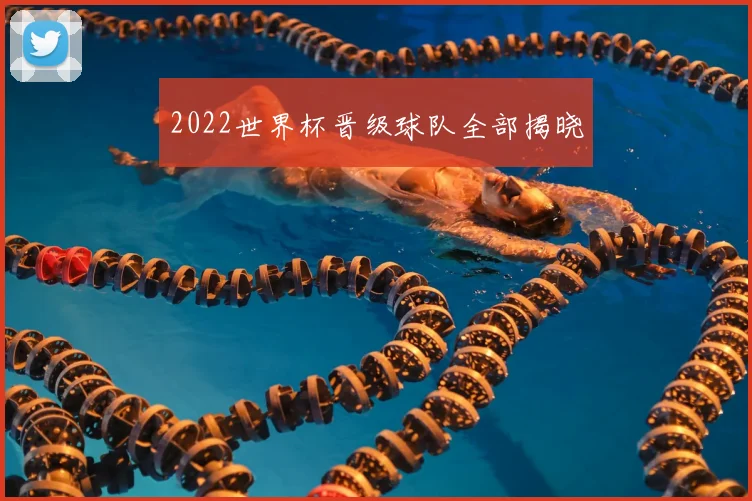 2022世界杯晋级球队全部揭晓